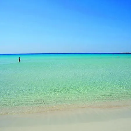 Olympic Bay Adults Only Hotel Ayia Napa